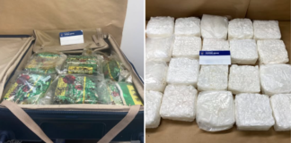 Drug courier jailed for smuggling 20kg of meth through Auckland airport
