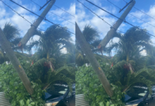 Car crashes into power pole, causing damage in Tonga