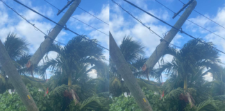 Car crashes into power pole, causing damage in Tonga