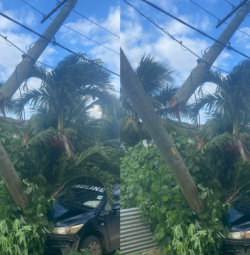 Car crashes into power pole, causing damage in Tonga