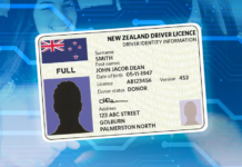 Digital driver licences are now legal: what you need to know