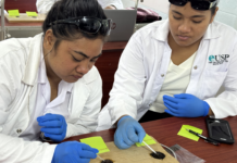 TNU students warn of rising soil acidity from over-farming