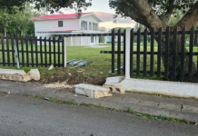 Construction boss stunned by fresh crash damages barrier built to shield royal palace fence
