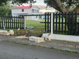 Construction boss stunned by fresh crash damages barrier built to shield royal palace fence