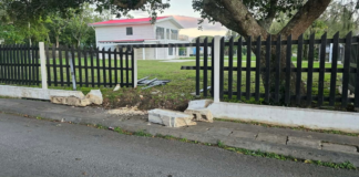 Construction boss stunned by fresh crash damages barrier built to shield royal palace fence