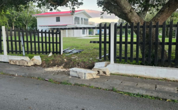 Construction boss stunned by fresh crash damages barrier built to shield royal palace fence