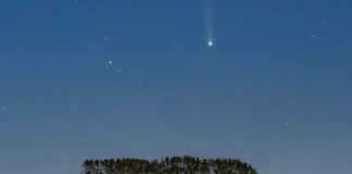 170,000-year comet return reveals meaning behind Tonga’s ‘fetu‘u fuka’ tribute to Queen Sālote