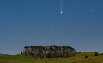 170,000-year comet return sheds light on ‘fetu‘u fuka’ symbolism honouring Queen Sālote
