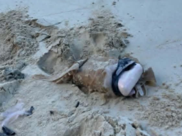 More suspected drug packages wash ashore on Vava’u beaches