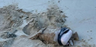 More suspected drug packages wash ashore on Vava’u beaches