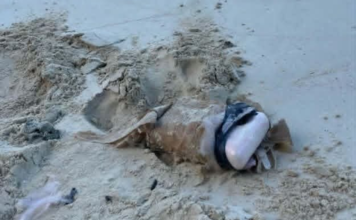 More suspected drug packages wash ashore on Vava’u beaches