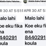 Kiekie kaka Fakatau