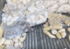 Tongan produce shipment spoils in US, sparks sympathy, raises handling questions
