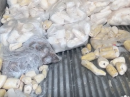 Tongan produce shipment spoils in US, sparks sympathy, raises handling questions