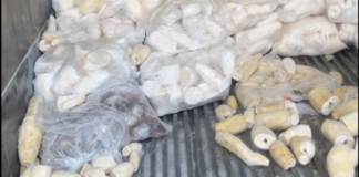 Tongan produce shipment spoils in US, sparks sympathy, raises handling questions