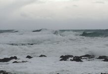 Cook Strait ferry sailings cancelled, residents told to stay off beaches as swells up to 10.5m forecast in Wellington