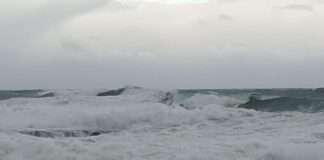 Cook Strait ferry sailings cancelled, residents told to stay off beaches as swells up to 10.5m forecast in Wellington