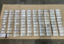 Customs uncover 100kg cocaine worth $35m hidden in Tauranga container
