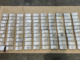Customs uncover 100kg cocaine worth $35m hidden in Tauranga container