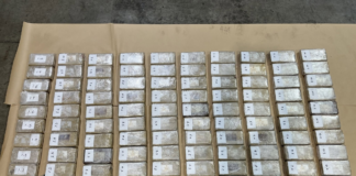 Customs uncover 100kg cocaine worth $35m hidden in Tauranga container