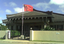 Online fundraising drive for Tongan women in China raises questions as authorities investigate