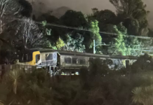 ‘Shook the house’: Eight injured in Wellington train derailment