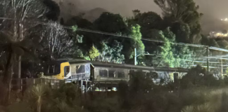 ‘Shook the house’: Eight injured in Wellington train derailment