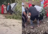 Serious crash in Tonga: Bystanders carry motionless person from badly damaged car