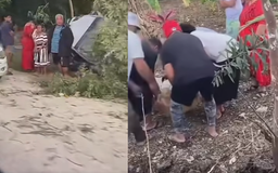 Serious crash in Tonga: Bystanders carry motionless person from badly damaged car