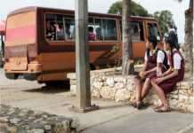 Friends of Tonga named finalist for global environmental award