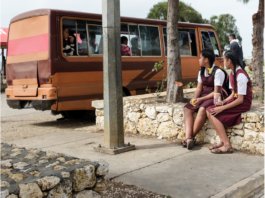 Friends of Tonga named finalist for global environmental award