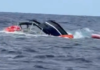 Vavaʻu whale-watching boat in accident after two recent boating incidents
