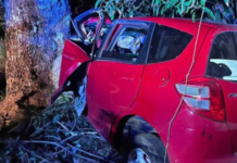 More road crashes in Tonga as car hits tree, overturns with occupant trapped inside