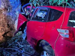 More road crashes in Tonga as car hits tree, overturns with occupant trapped inside