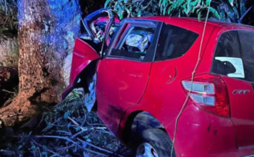 More road crashes in Tonga as car hits tree, overturns with occupant trapped inside