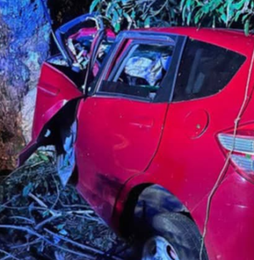 More road crashes in Tonga as car hits tree, overturns with occupant trapped inside