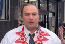 Tongan heritage candidate Te Whatanui Leka Taumalolo Skipwith to contest Ōtāhuhu for Greens