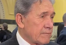 NZ First offers Pacific overstayers pathway to stay but proposes automatic deportation and permanent visa ban