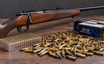Prison officer jailed after rifle, 1,655 rounds and fireworks found in Vavaʻu shipment