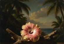 Punake Theory : Creative NZ Fellowship