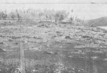 Niuafoʻou eruption: 80 years since thousands fled into the darkness as volcano destroyed village