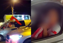 Learner driver fined $6,077 after apparent Tonga flag-waving draws police attention amid World Cup celebrations