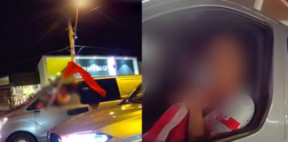 Learner driver fined $6,077 after apparent Tonga flag-waving draws police attention amid World Cup celebrations