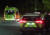 Woman charged with attempted murder after West Auckland stabbing